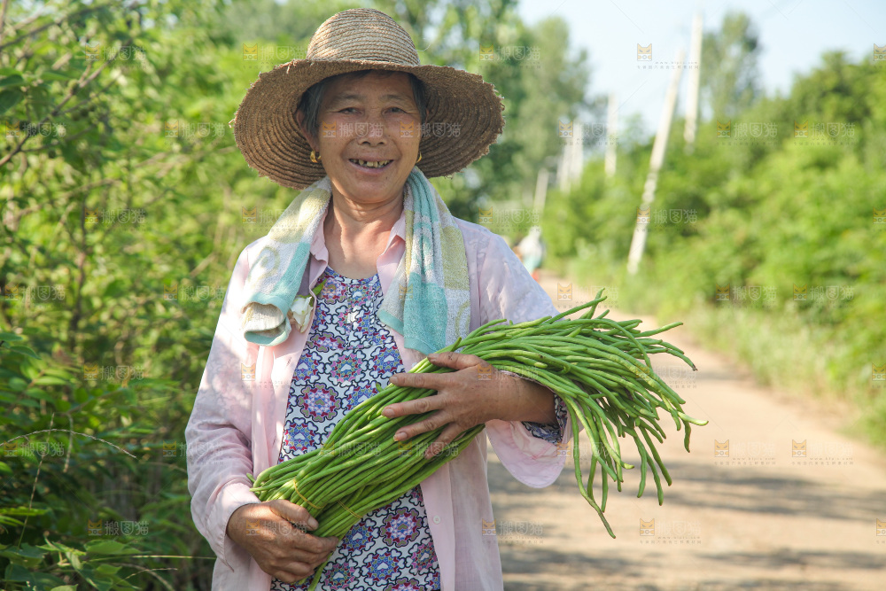 手里拿着长豇豆