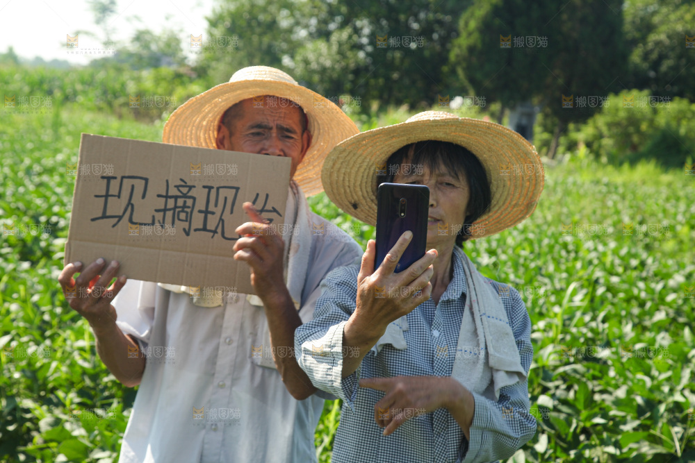 手里拿着现摘毛豆
