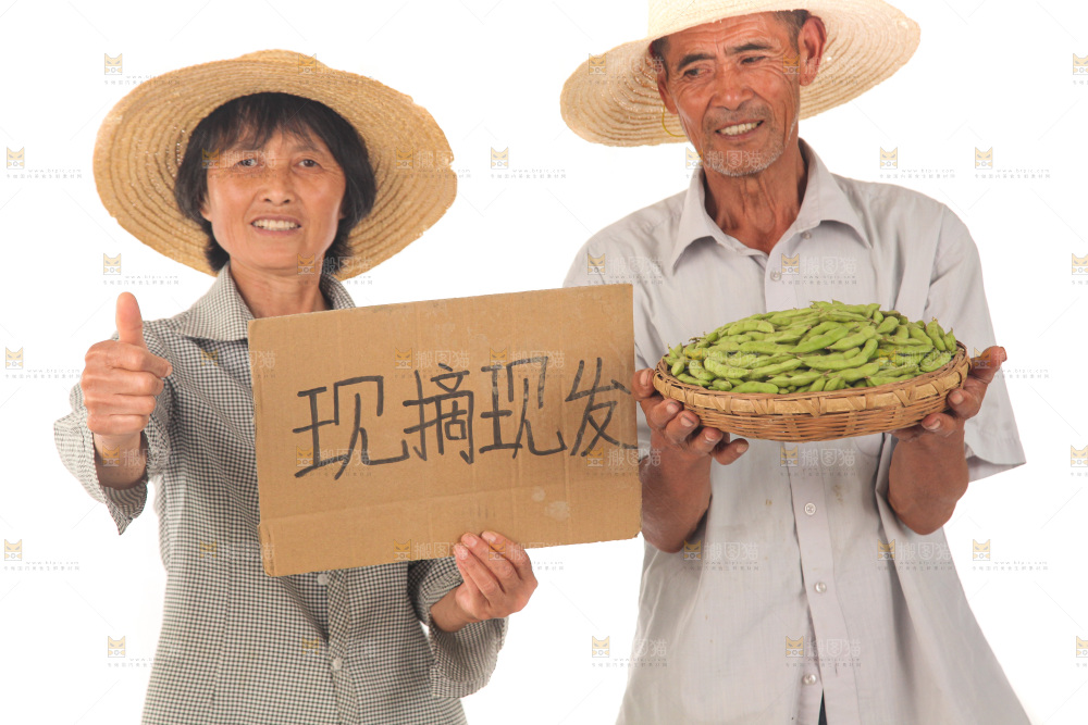 手里拿着现摘毛豆