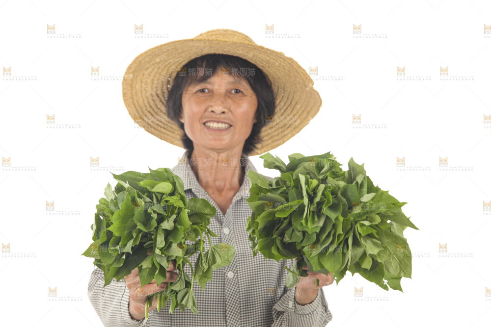 手里拿着苕尖