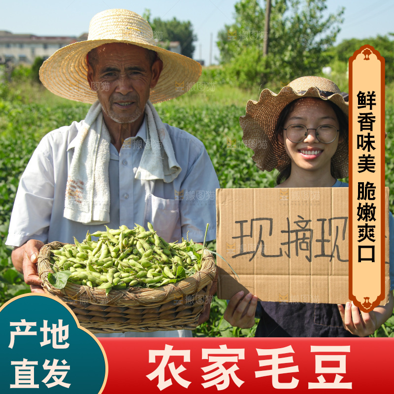 手里拿着现摘毛豆