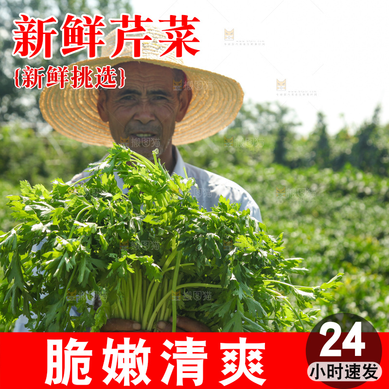 手里拿着新鲜芹菜