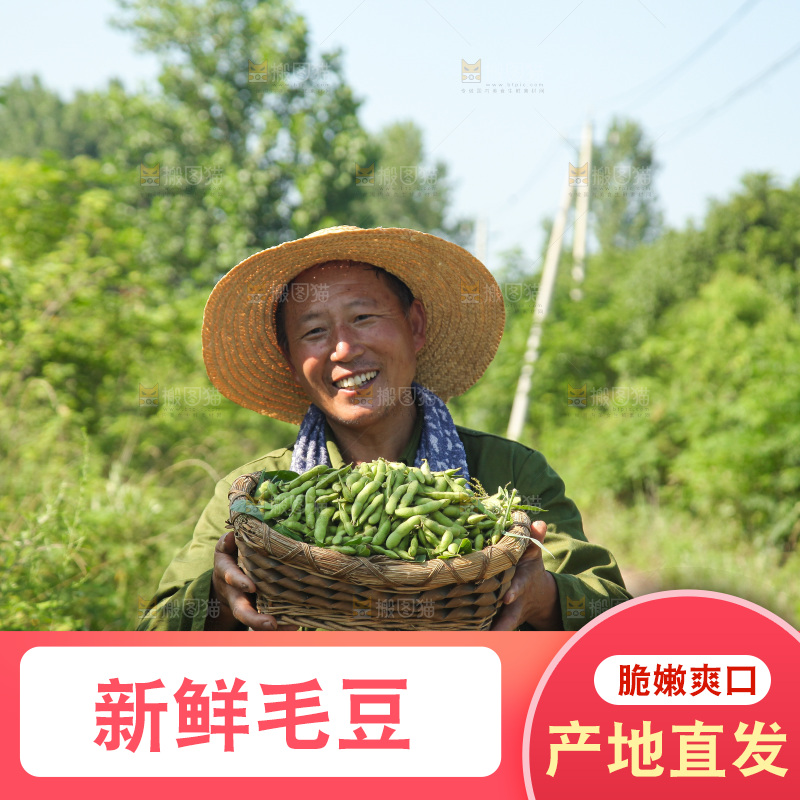 手里拿着现摘毛豆