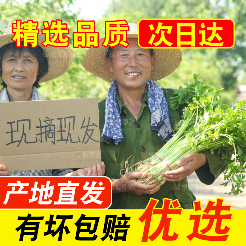 手里拿着新鲜芹菜