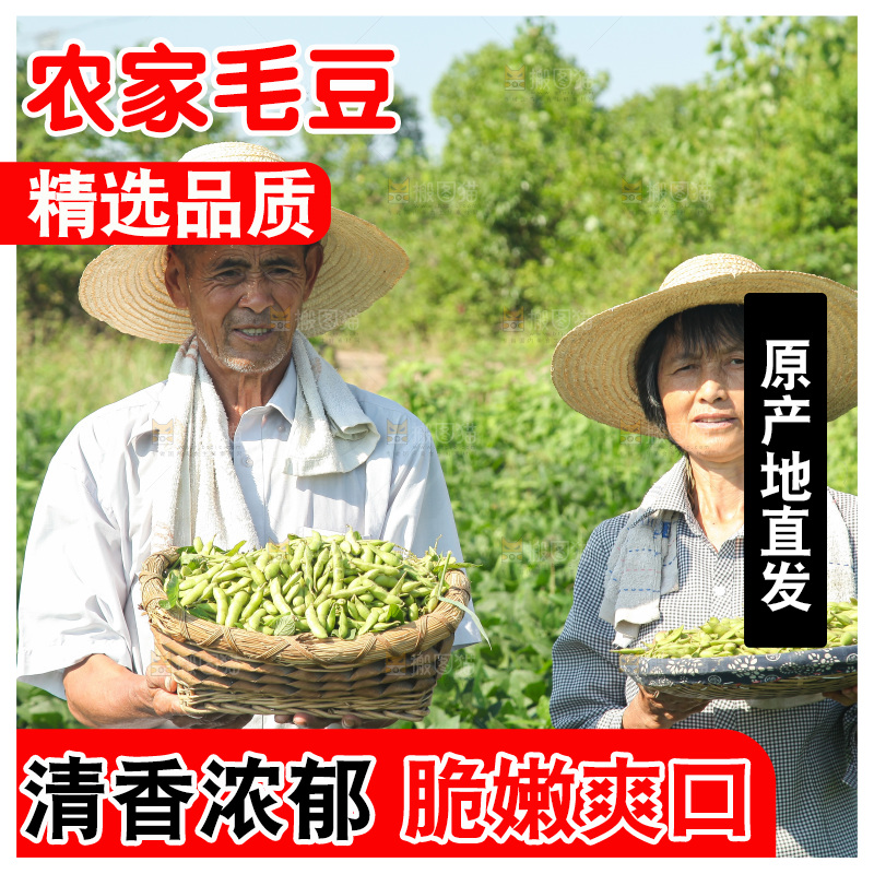 手里拿着现摘毛豆