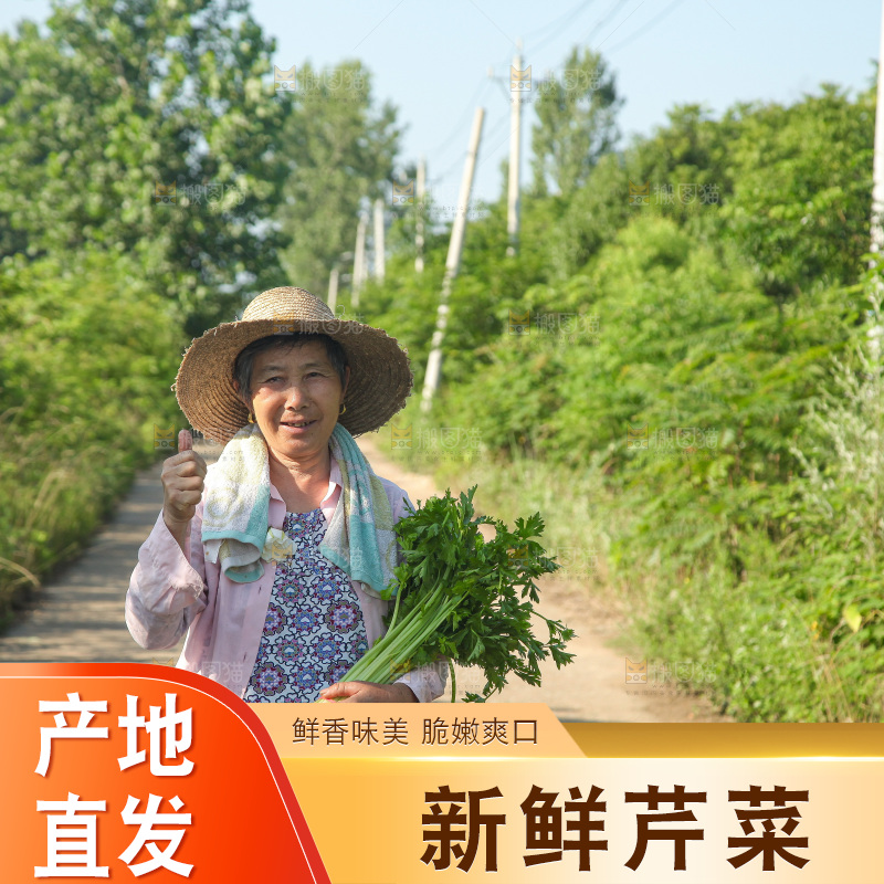 手里拿着新鲜芹菜