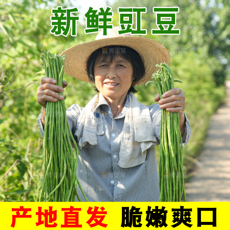 手里拿着长豇豆