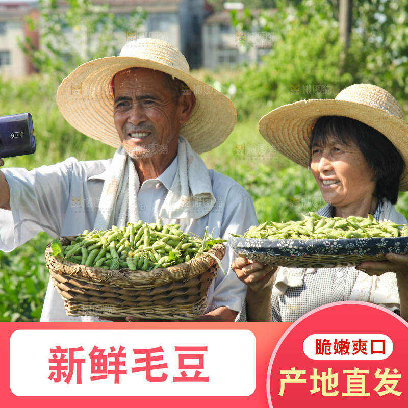 手里拿着现摘毛豆