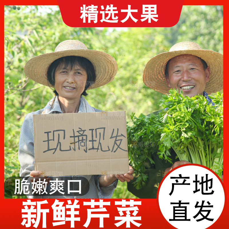 手里拿着新鲜芹菜