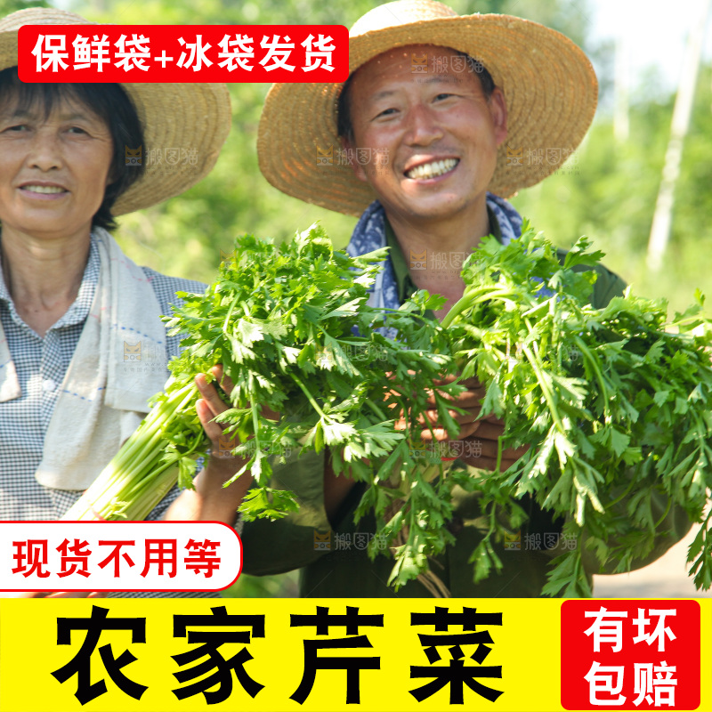 手里拿着新鲜芹菜