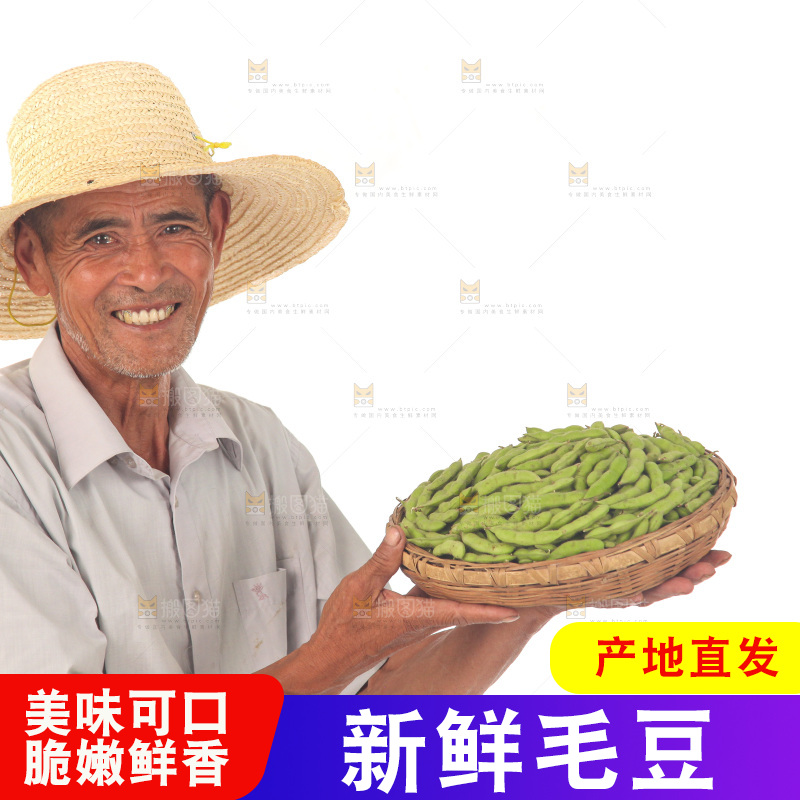 手里拿着现摘毛豆