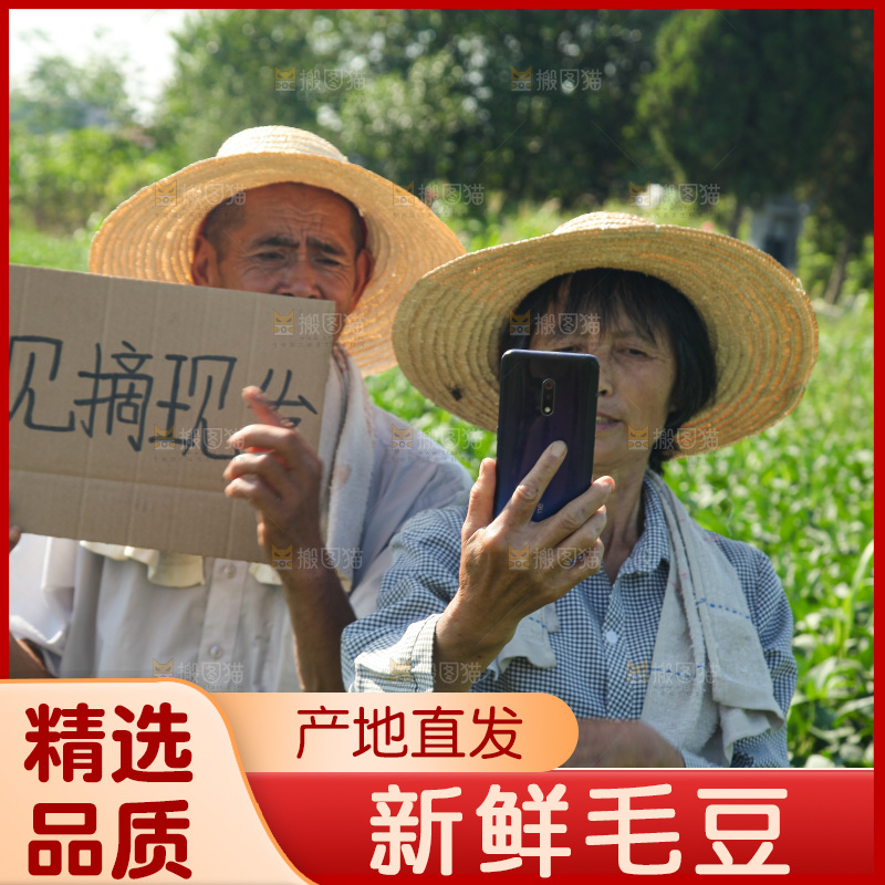 手里拿着现摘毛豆