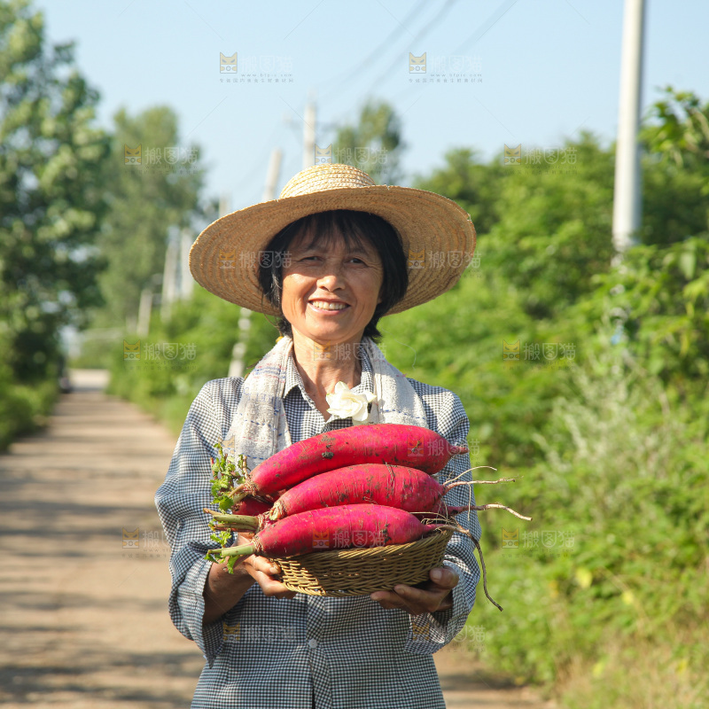 手里拿着红萝卜
