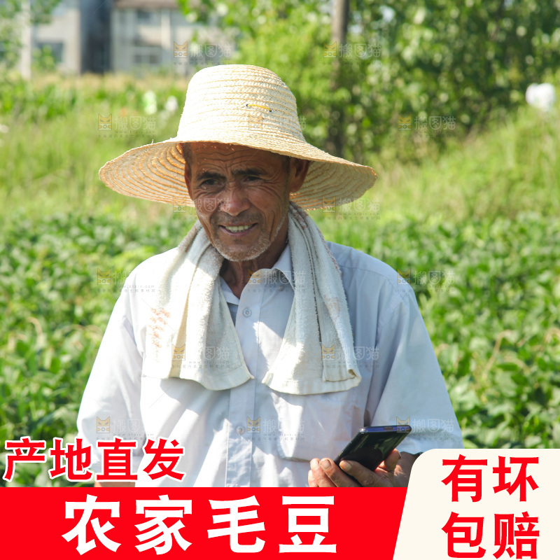 手里拿着现摘毛豆