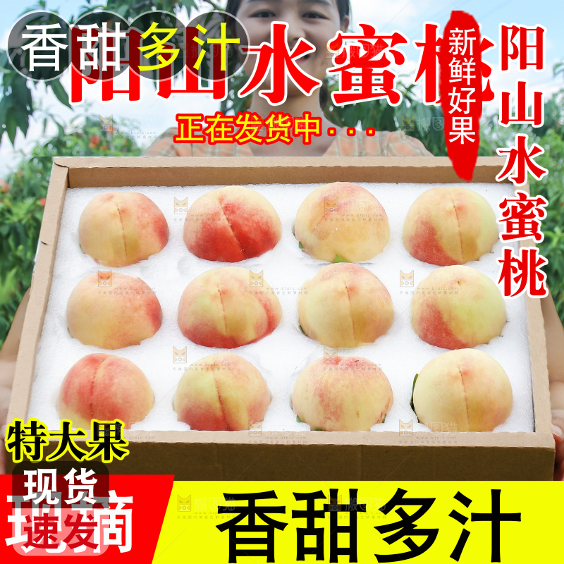 阳山水蜜桃主图
