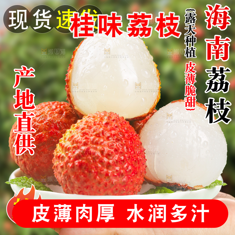 桂味荔枝主图