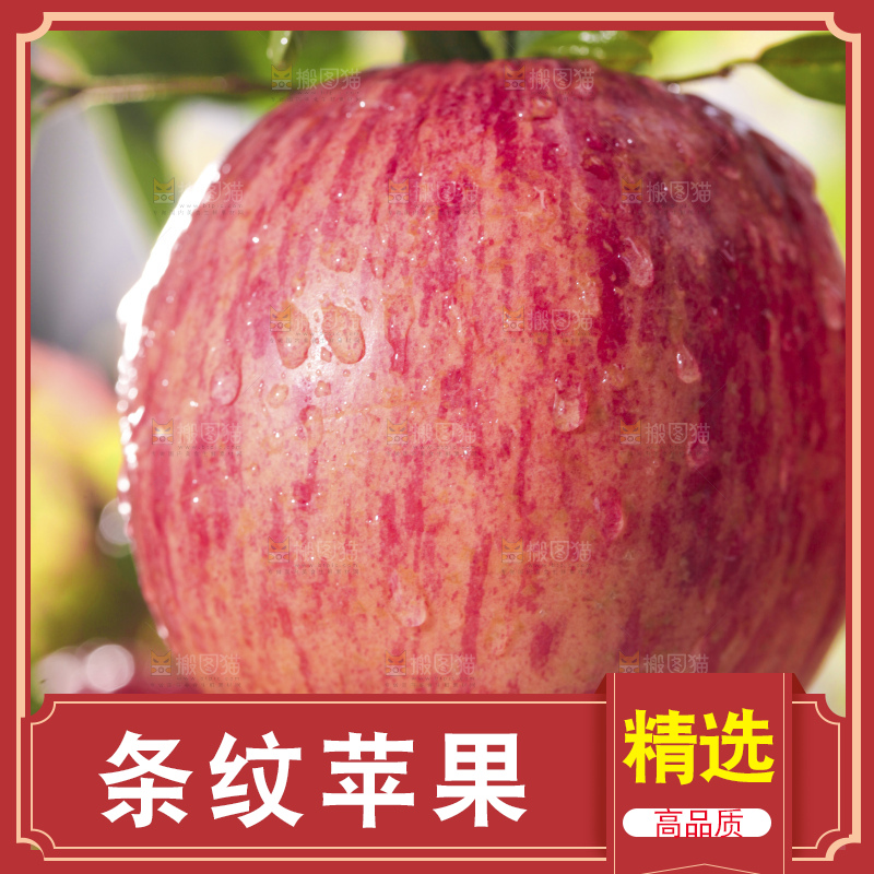树上的条纹苹果