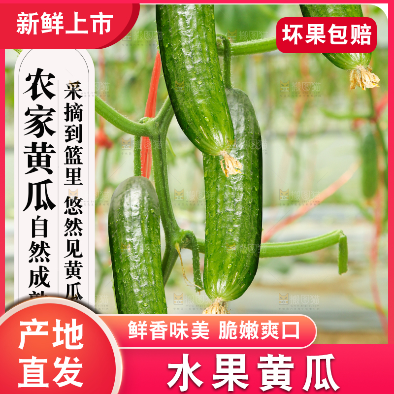 水果黄瓜主图