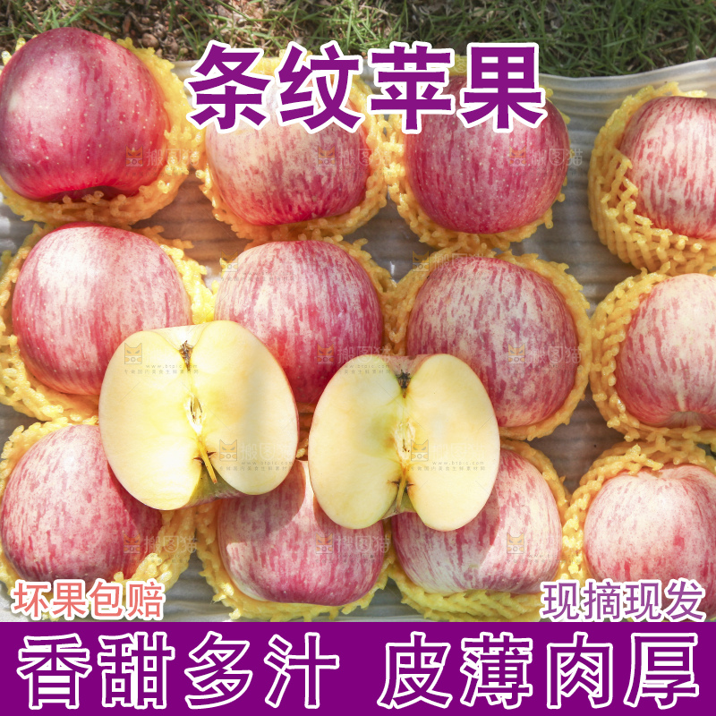 树上的条纹苹果