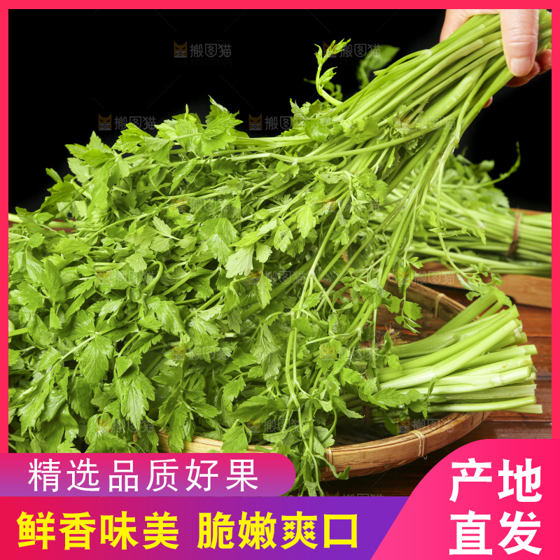 木底上的新鲜芹菜