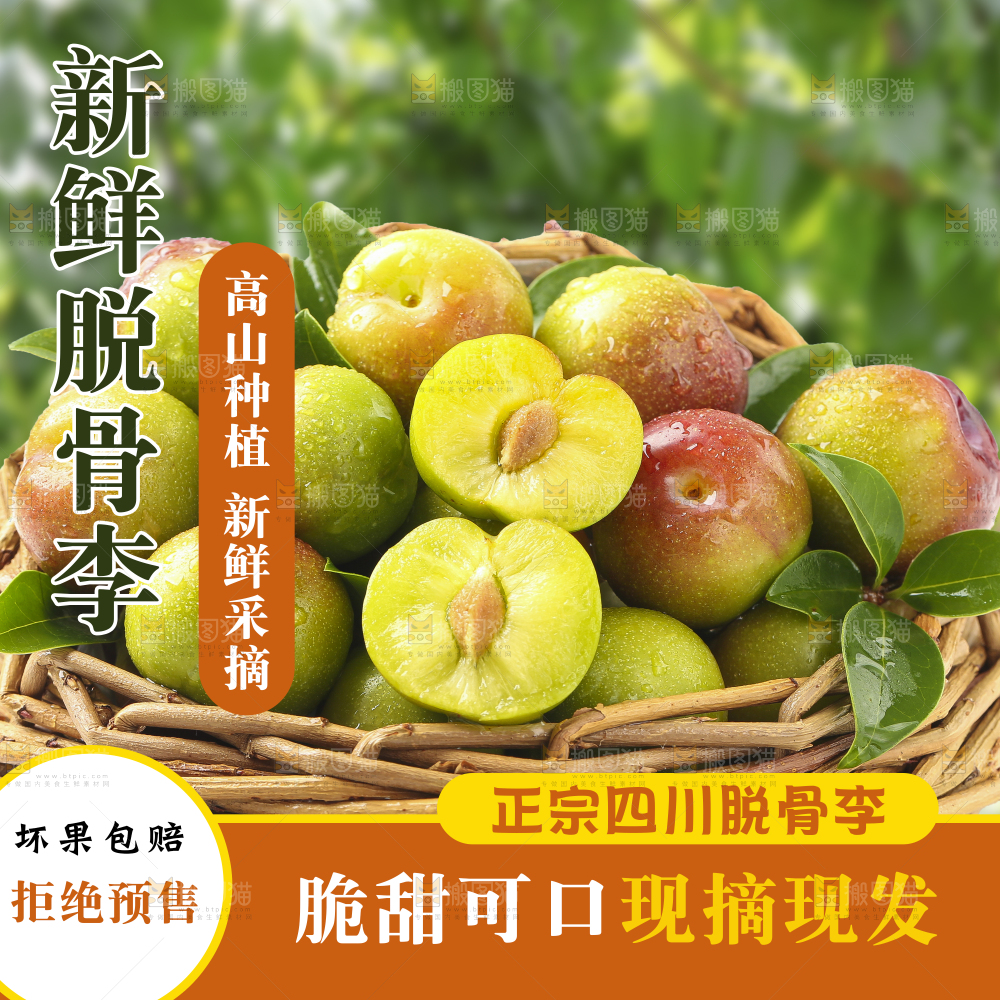 茵红脱骨李主图
