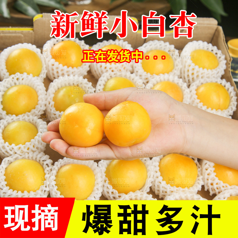 深底上的新鲜小白杏