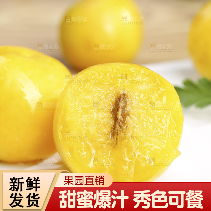 浅底上的小白杏