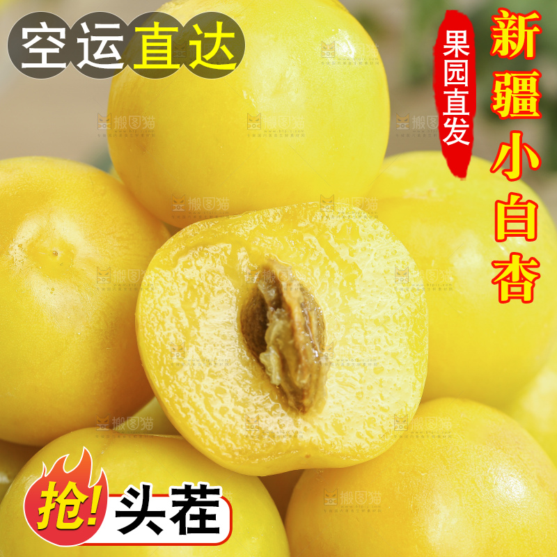 浅底上的小白杏