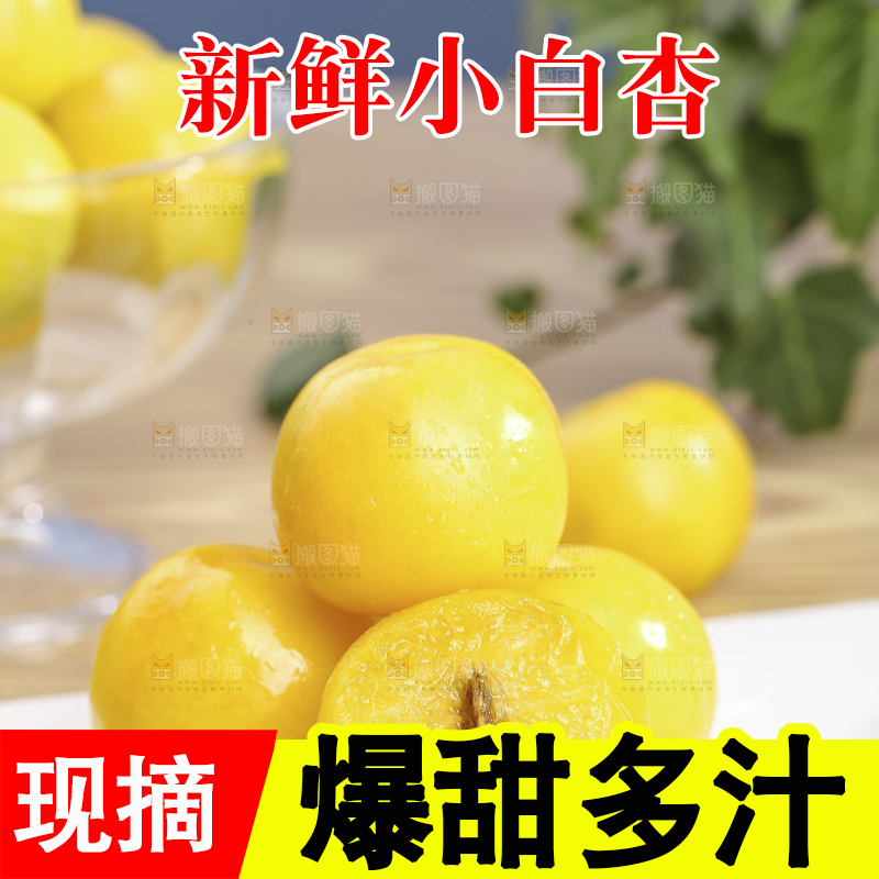 浅底上的小白杏