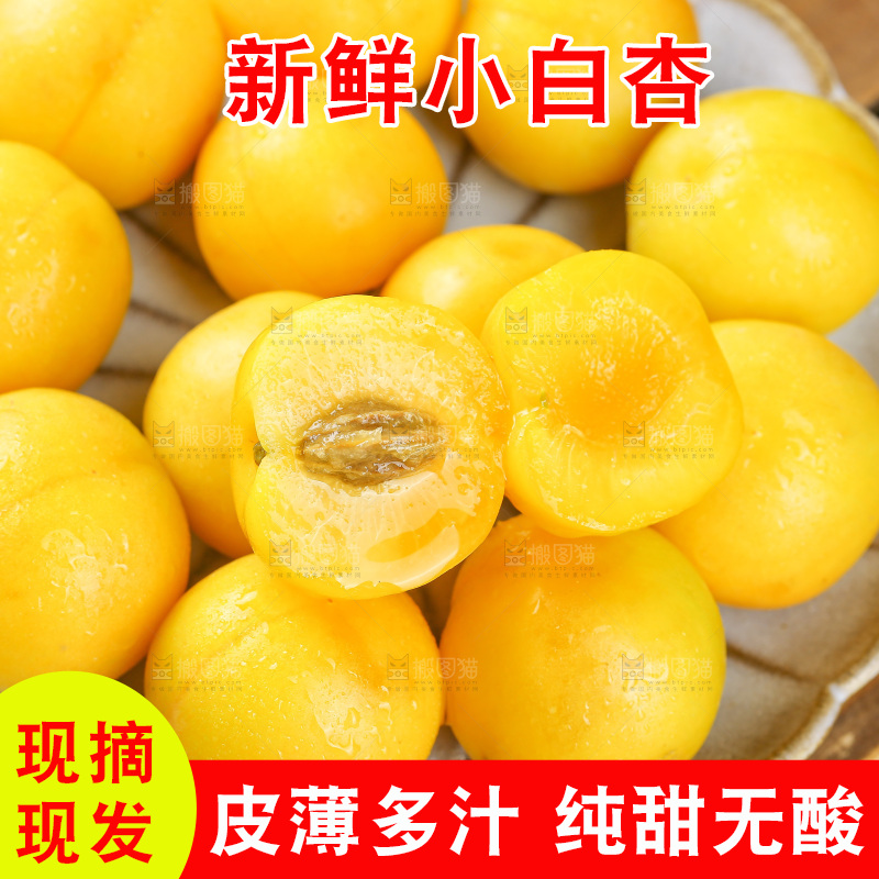 深底上的新鲜小白杏