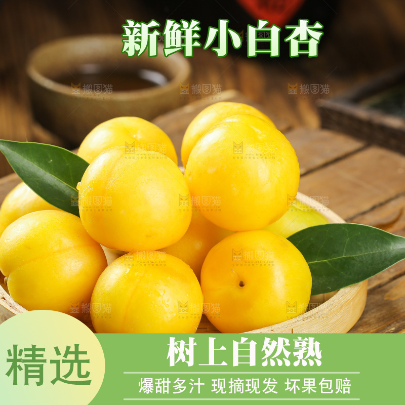 深底上的新鲜小白杏
