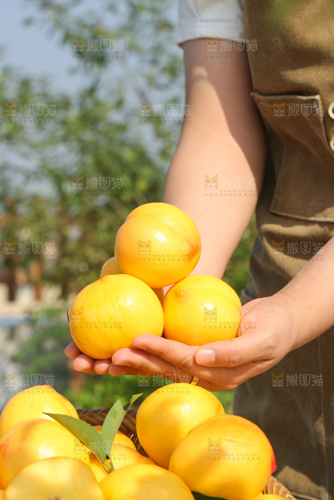 手里拿着黄油桃