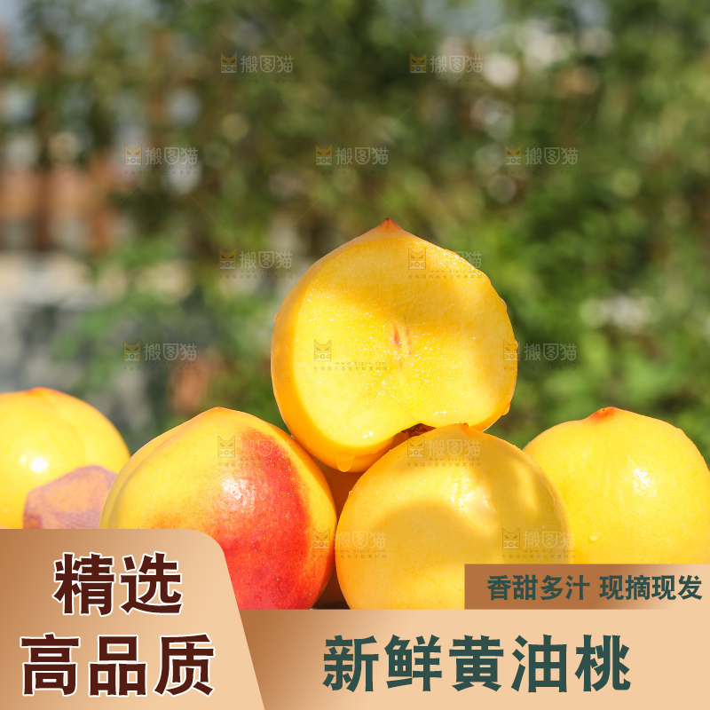 浅底上的黄油桃