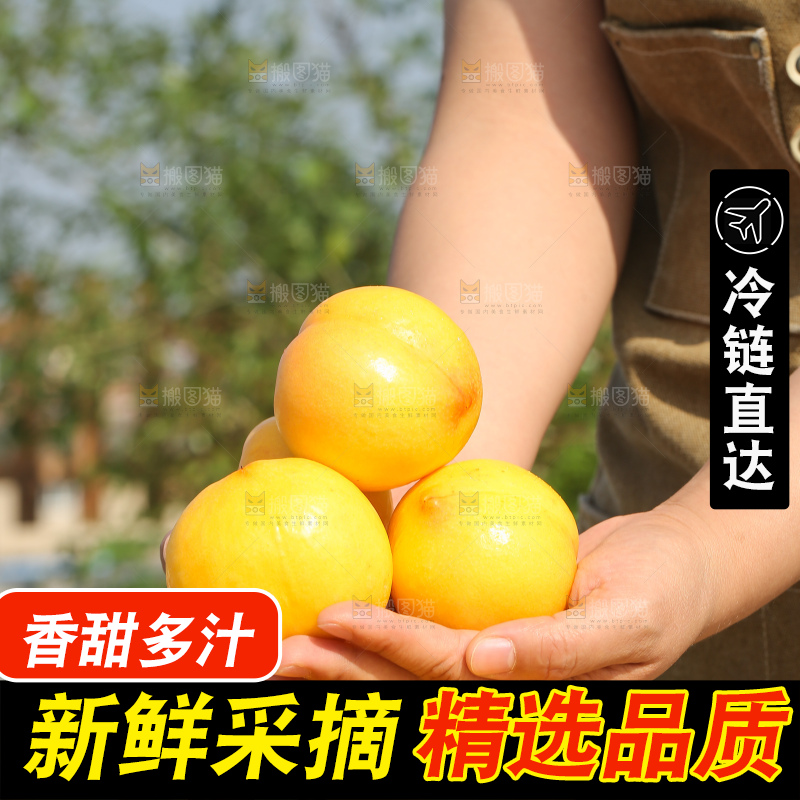 手里拿着黄油桃