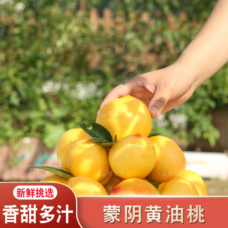 手里拿着黄油桃