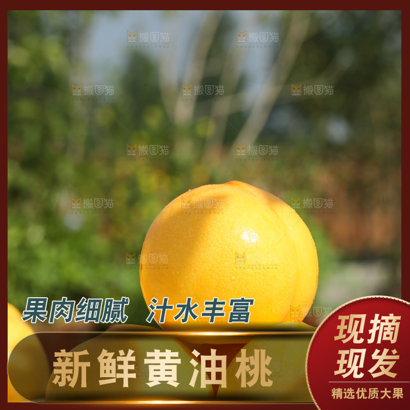 浅底上的黄油桃