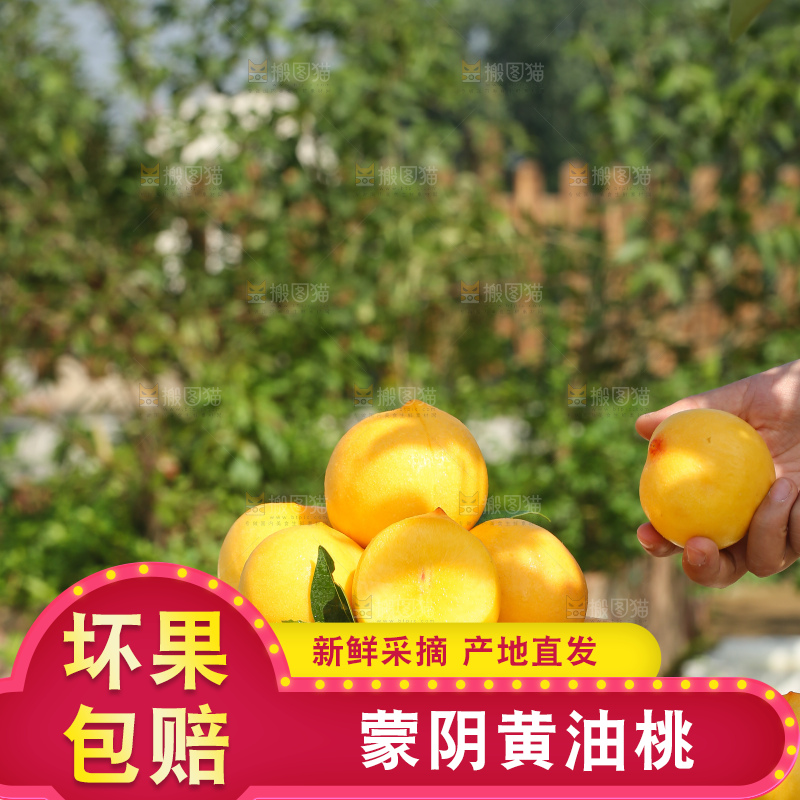 浅底上的黄油桃