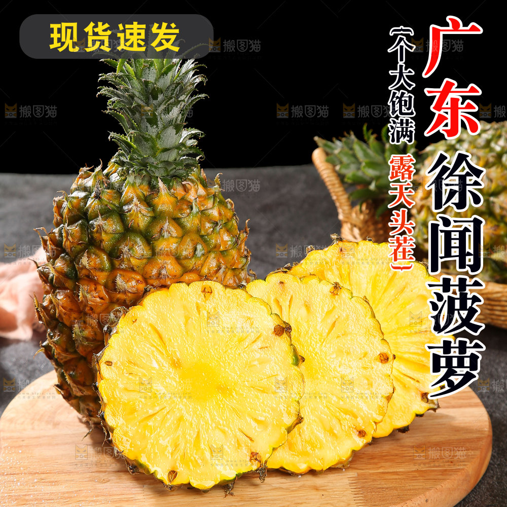 徐闻菠萝主图