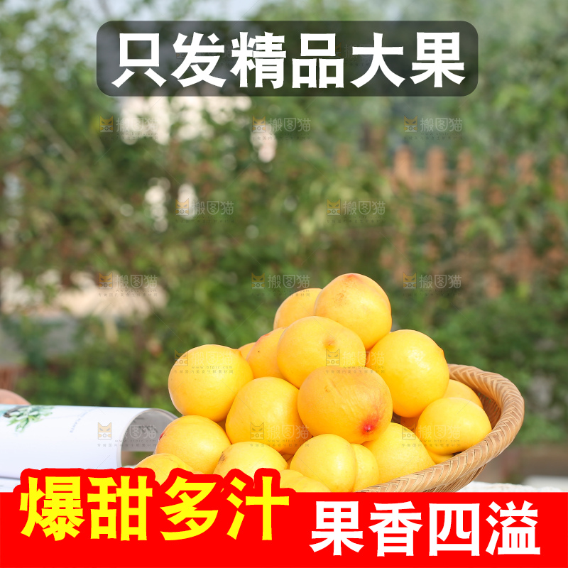 浅底上的黄油桃
