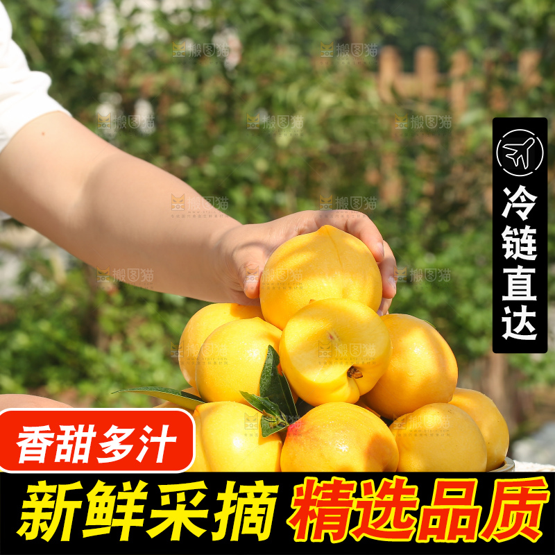 手里拿着黄油桃