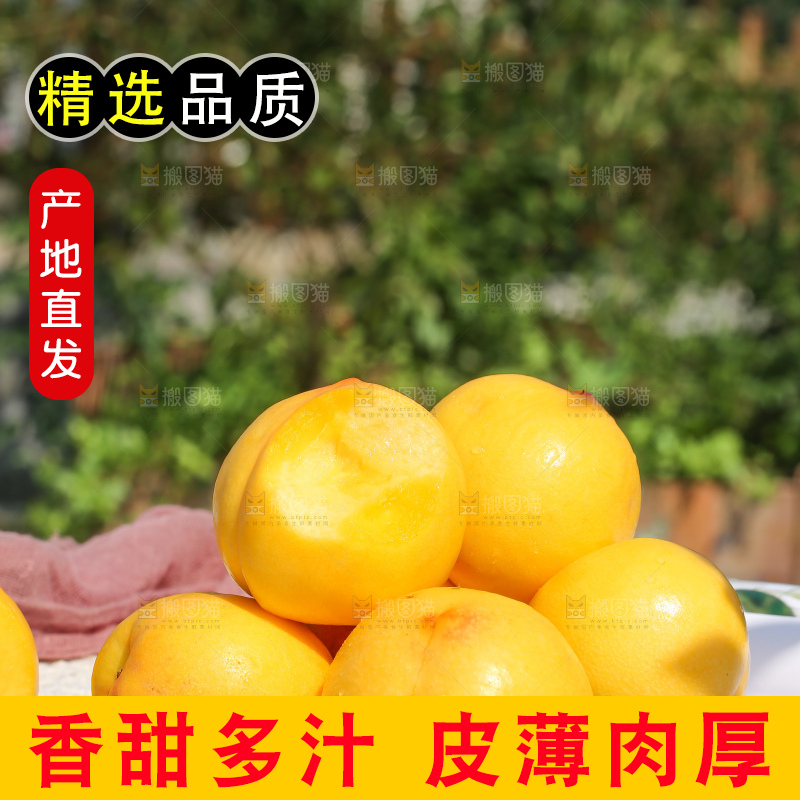 浅底上的黄油桃