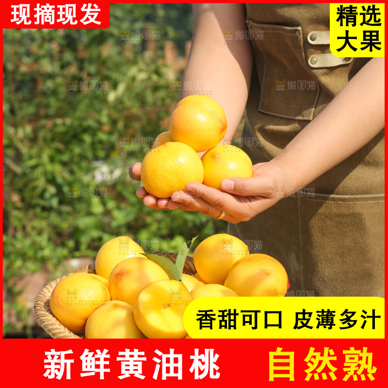 手里拿着黄油桃
