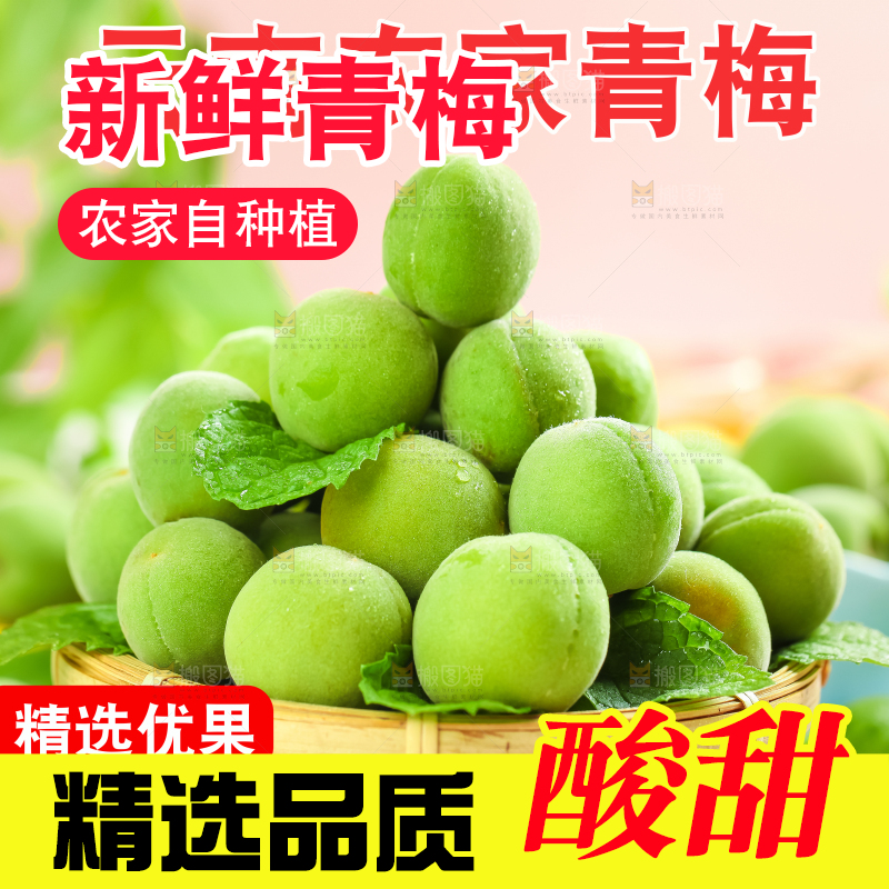 云南青梅主图