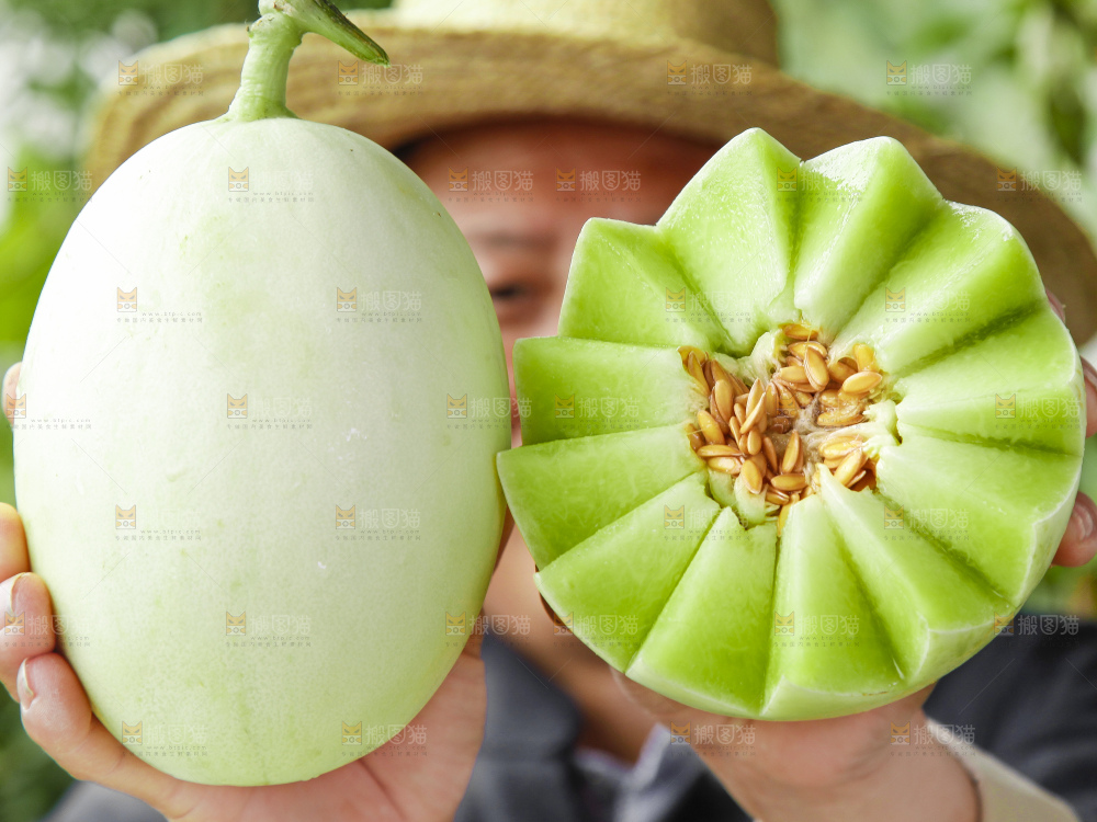 深底上的玉菇甜瓜