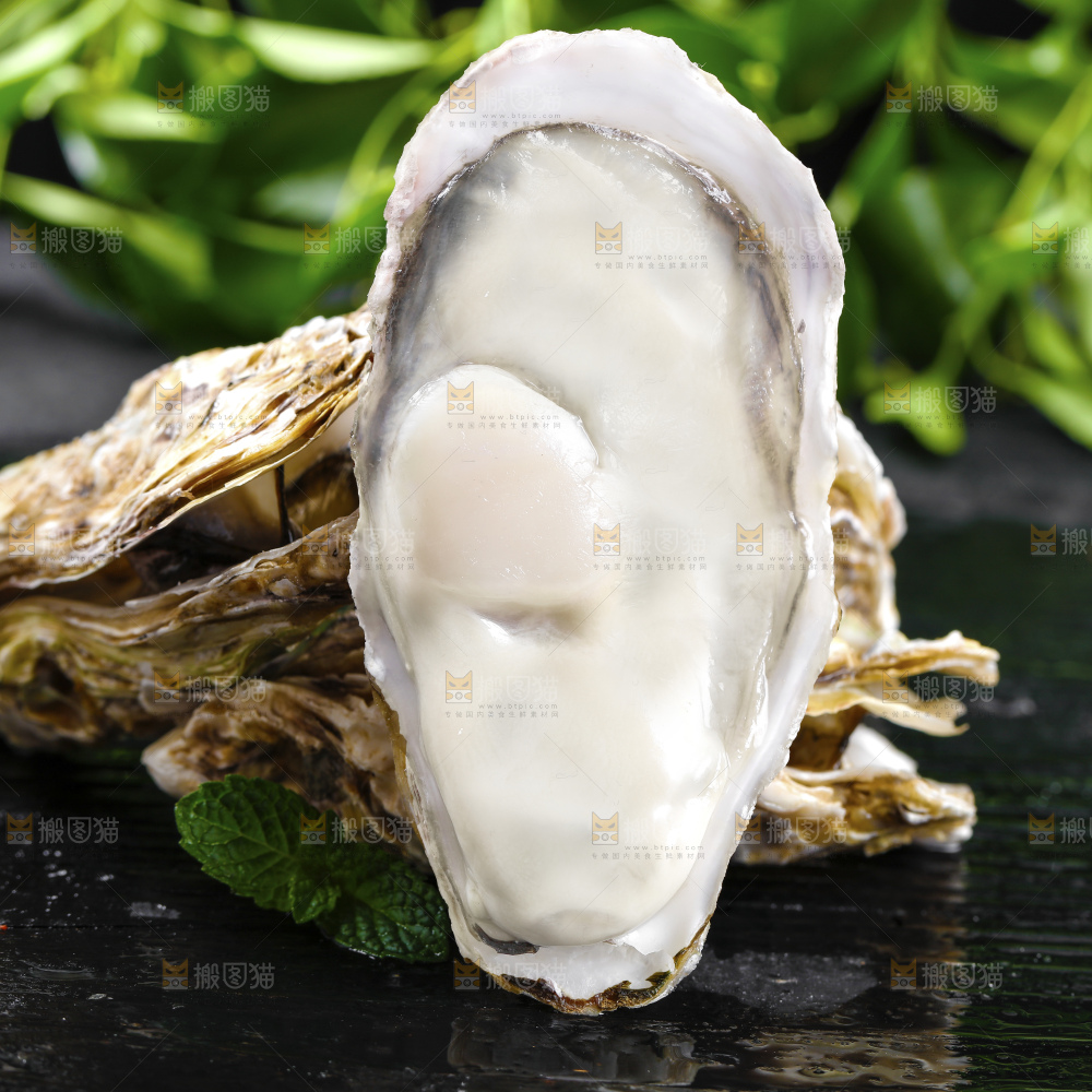 深底上的乳山生蚝