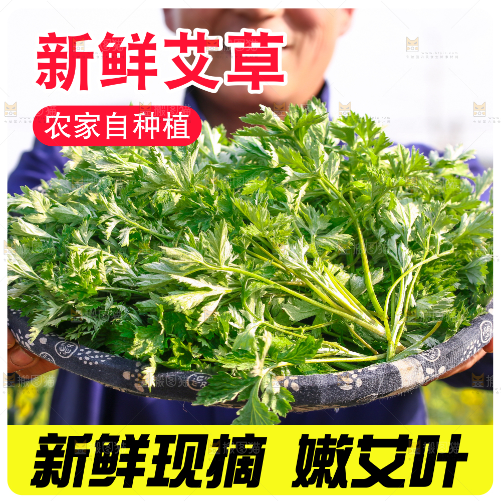 新鲜艾草主图