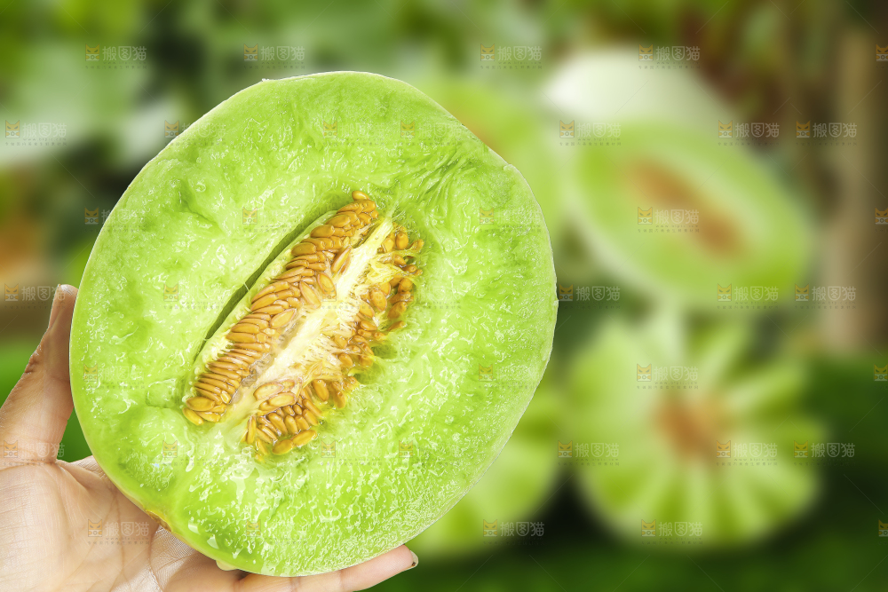 深底上的玉菇甜瓜