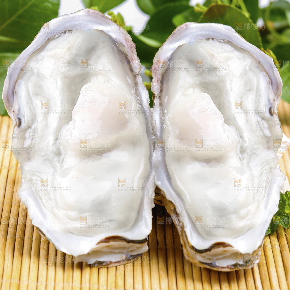 深底上的乳山生蚝