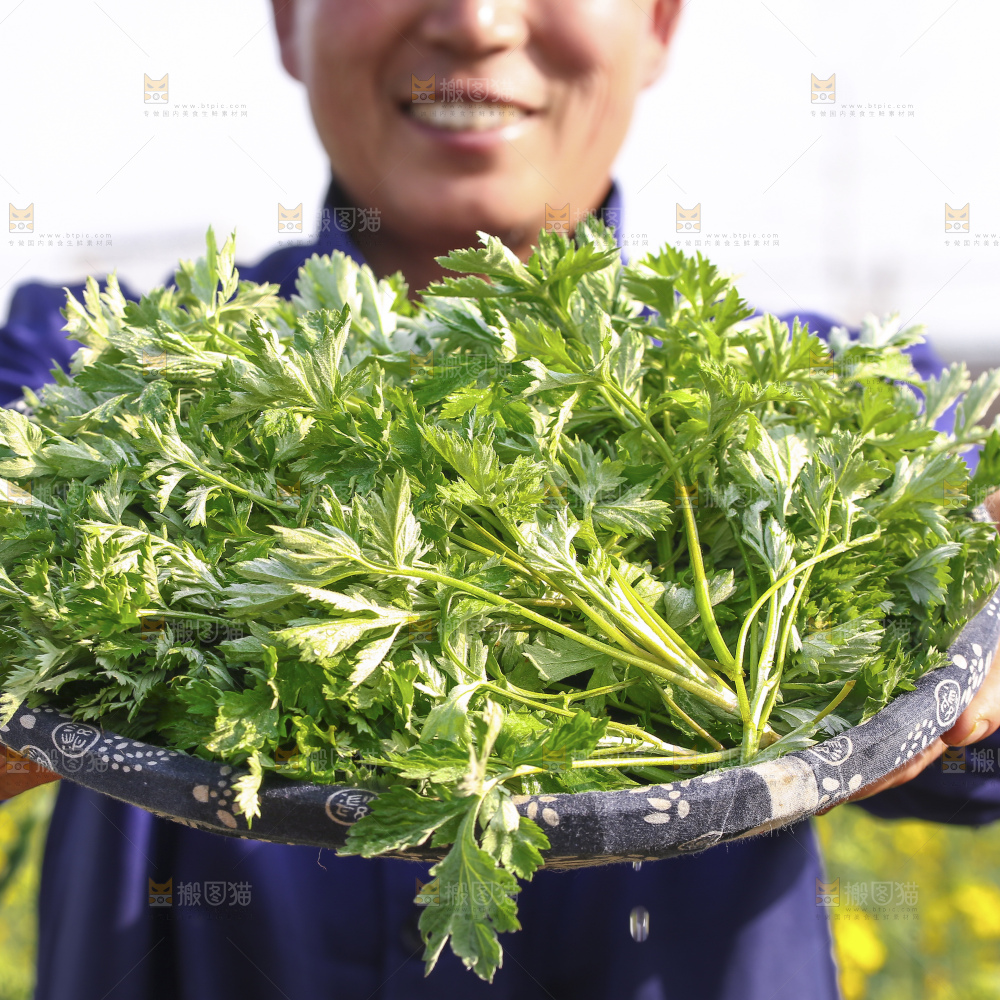 手里拿着新鲜艾草