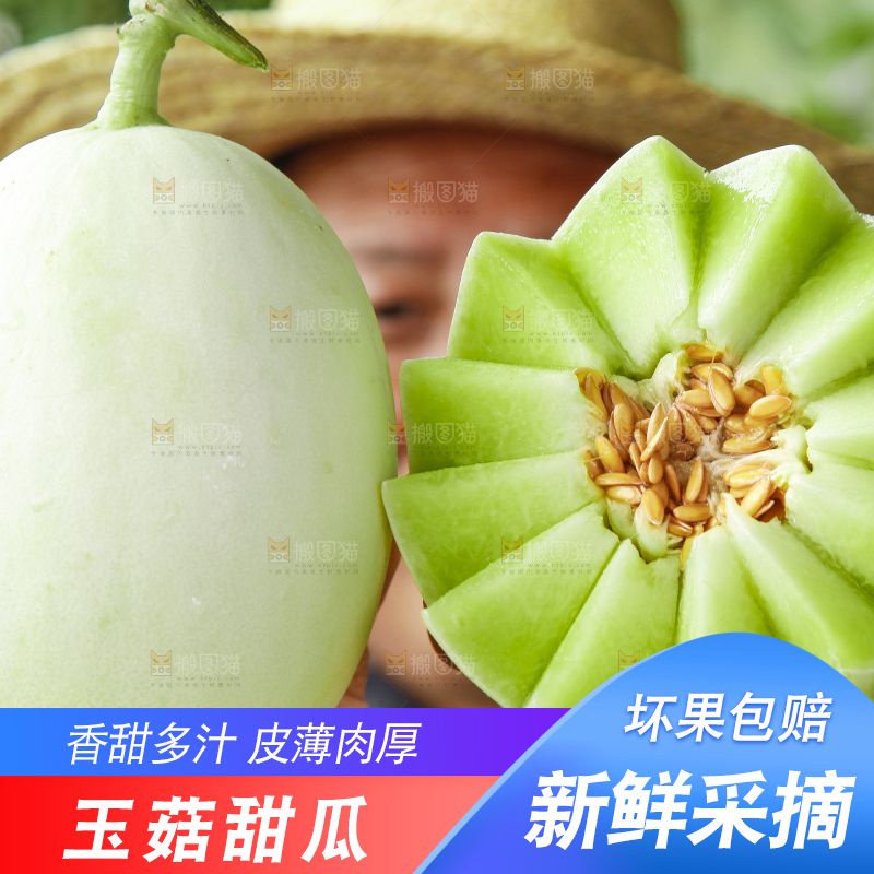 深底上的玉菇甜瓜